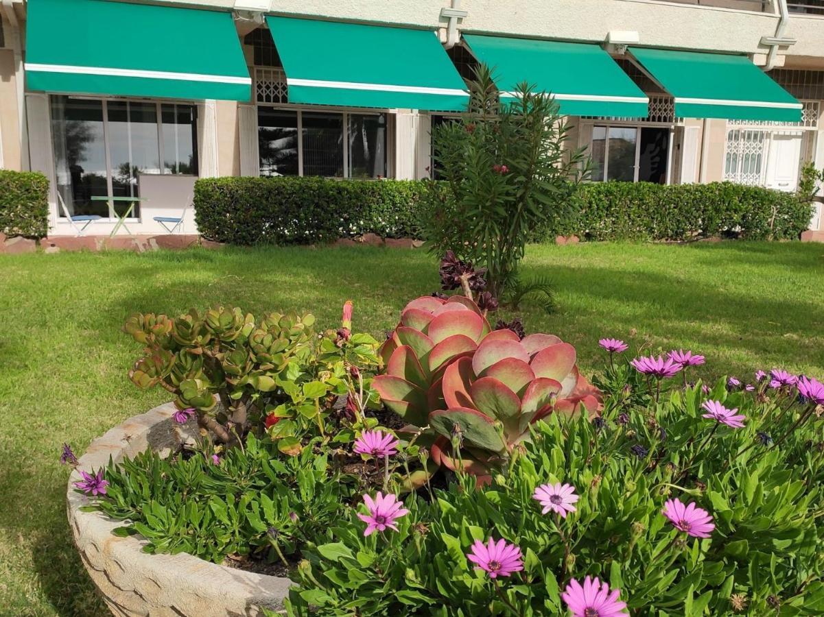 Sunrise Estudio Zebra, Con Vistas Jardin Y Mar Miami Playa Exterior photo